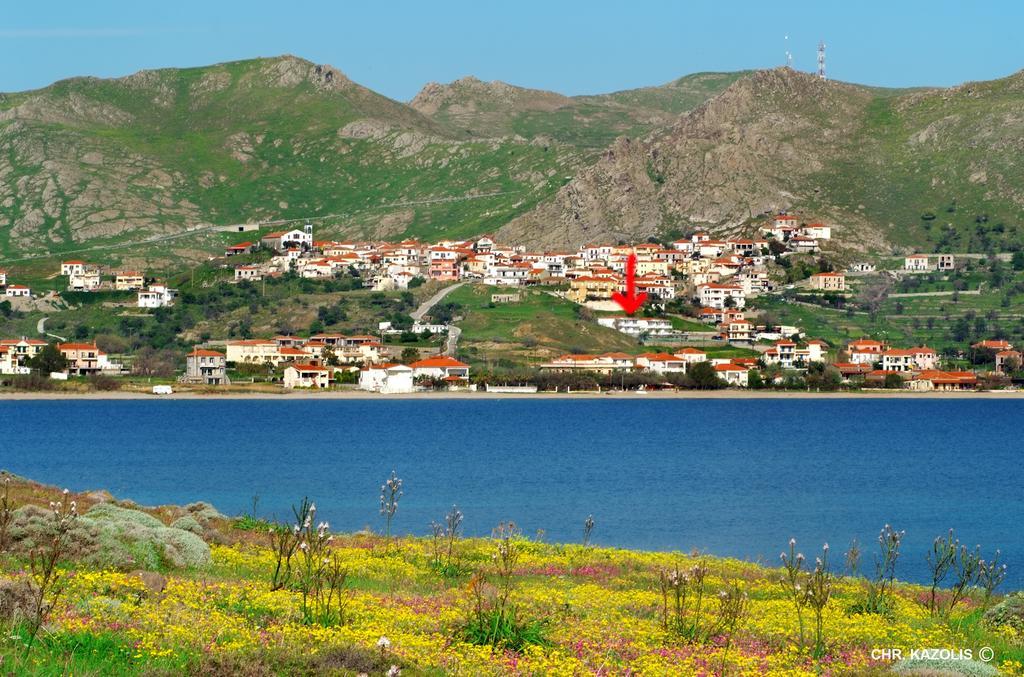 Panorama Plati Aparthotel Bagian luar foto